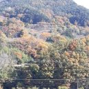 마천금계슈퍼 이미지