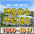 숲속에 아침 이미지