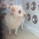 씻고가개 이미지