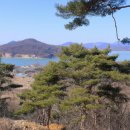 영산호관광지 이미지