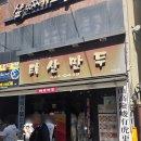 [대구/동성로] 태산만두 내돈내슨 솔직 후기 / 육즙 한가득 찐교스, 새콤달콤 비빔군만두 맛집