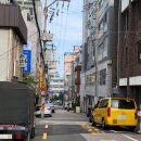 원조꼬리치는돼지 이미지