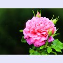곡성-074 티스토리