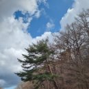 경주펜션 맛집 추천 해피데이 이미지