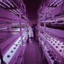 인구농장 이미지