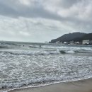 송정관광안내소 Daum카페