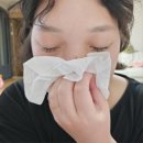 부드러운 촉감 끝판왕! 하늘예린 에리에르 로션티슈 사용 후기