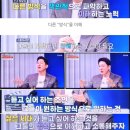 애견백화점 동탄점 이미지