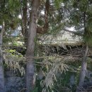 문재인대통령 생가 이미지