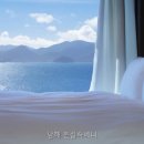 온실속베니 네이버블로그