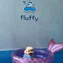 플러피 애견 풀빌라 이미지