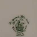 도그 블라썸 이미지