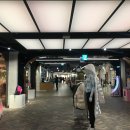 몰리스펫샵 센텀 이미지