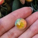 Green Colo 이미지