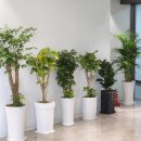 예스서울치과의원 이미지