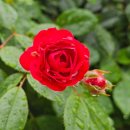 한라비발디단지내공인중개사사무소 이미지