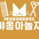 야옹아놀자 이미지