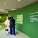 광도테니스장 | 워너 브롱크 호스트 표 할인 받는 방법? 예매 그라운드시소 서촌 방문 후기 데이트코스 가족