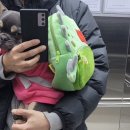 같이할개 반려견유치원 대전점 이미지
