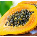 파파야 이미지