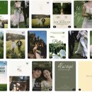 제시엘리스 주식회사 이미지