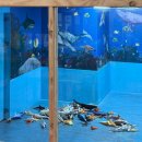 점핑클럽 | 김천 조이점핑클럽 아이랑 다녀온 후기 (이용요금·주차 정리)