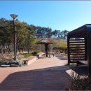 태화 목장 이미지