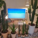 양산브라운도트 북부점 이미지