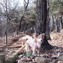 등마루공원 이미지