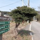 양사면사무소 이미지