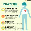 오전오후 | 오메가3 고르는법 및 먹는시간 오전 오후 비교 후기