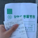 강영석동물병원 이미지