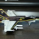F/A-18C Hornet VFA-115 Special painted version (에이스 kit Revell decal) 이미지