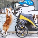 도기파크 이미지