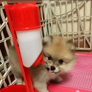 스테이 멍(STAY MUNG) 이미지