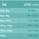 팻 밸런스 (Pet Balance) 이미지