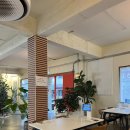 오동동142 이미지