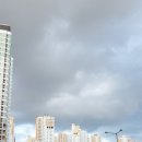 최고수수타짬뽕 이미지