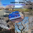 늘품 풀빌라 이미지