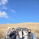 주니버스 | 제주도 단체 자유여행 미니버스 기사포함 렌트 요금 실제 후기