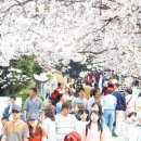 제황산경로당 Daum카페