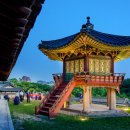 달빛조경