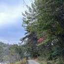 금산면지 발간 기념 | 진주 월아산 등산 후기(금호못주차장~국사봉~금호못주차장)