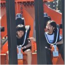 남산당구장 | 40명 타우랑가 유학생들의 오클랜드 대도시 세 팀으로 나눠서 나들이 다녀왔어요