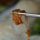 진애연
