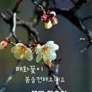 고우니 이미지