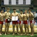 영월군청