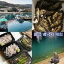 남해낚시 배안타는 볼락 밤낚시 체험