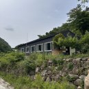 장흥숲길캠핑장 | 광주 근교 1시간 이내 "장흥 노각나무숲 캠핑장" 후기