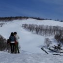 대관령목장 이미지